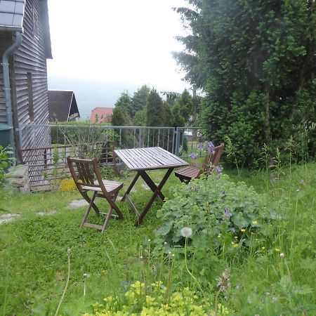 Haus Bergwiese - Fuer Naturfreunde, Familien, Wanderer Gehlberg Extérieur photo