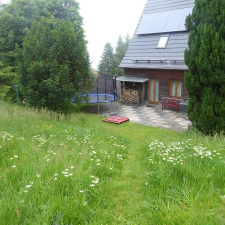 Haus Bergwiese - Fuer Naturfreunde, Familien, Wanderer Gehlberg Extérieur photo
