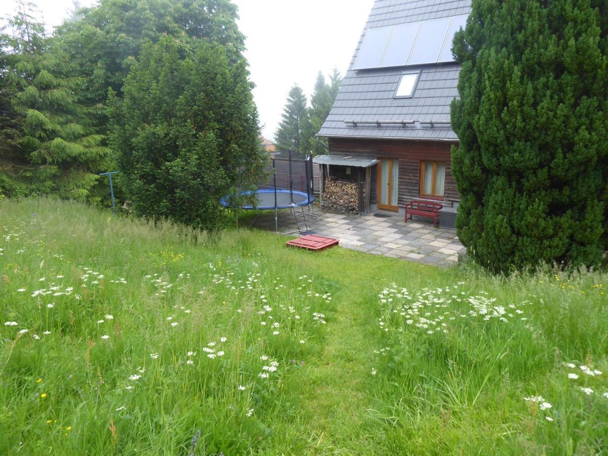 Haus Bergwiese - Fuer Naturfreunde, Familien, Wanderer Gehlberg Extérieur photo